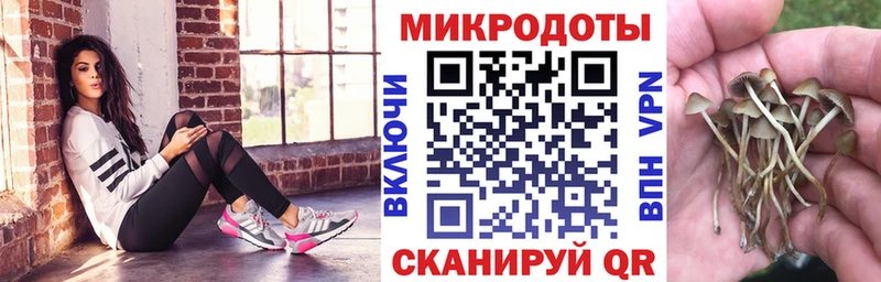 Псилоцибиновые грибы ЛСД  OMG ONION  Бугульма 